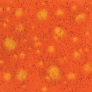 CG954-016  Wildfire